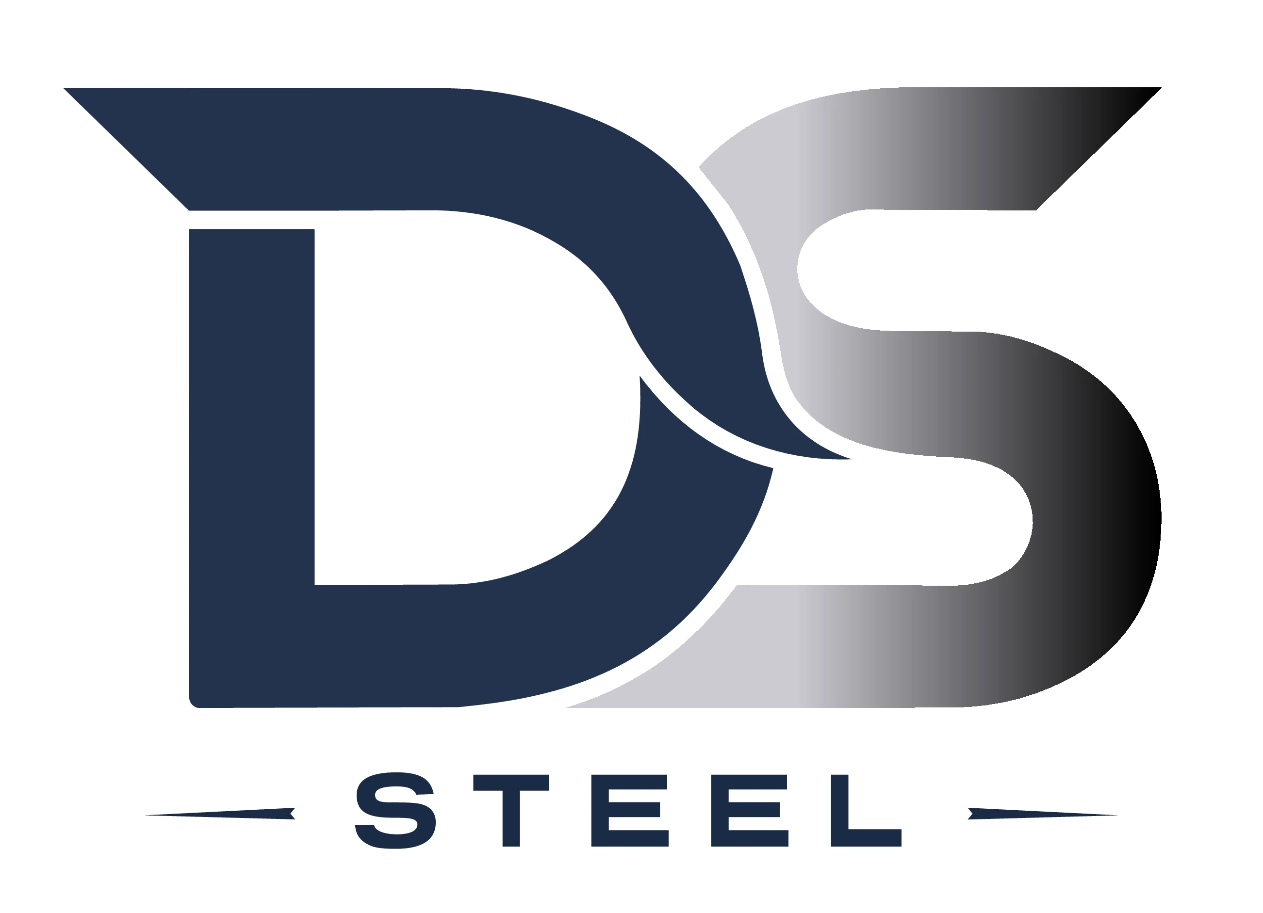 DS Steel